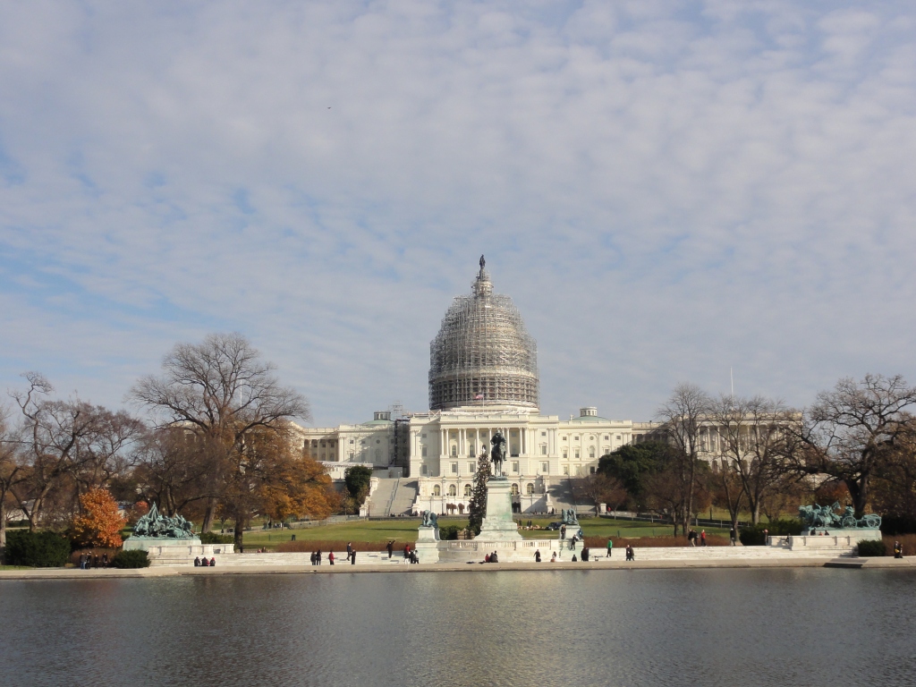 The US Capitol's dome resembles a bird's nest, while under restoration.
